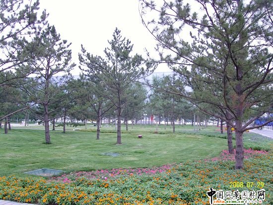 �����W��ƥ��ɭ�ֹ��@���ą^����R����G������