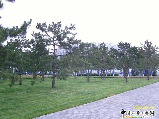 �����W��ƥ��ɭ�ֹ��@���ą^����R����G������