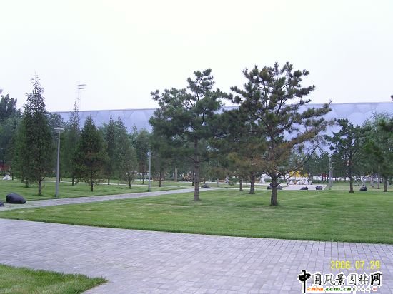 �����W��ƥ��ɭ�ֹ��@���ą^����R����G������