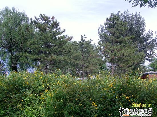 �����W��ƥ��ɭ�ֹ��@���ą^(q��)����R����G������