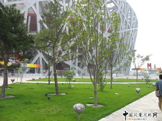 �����w����A��B�^�@�־��^����