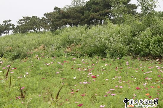 ������ɽɽ��܇ِ���G���h�����ι���