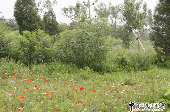 ������ɽɽ��܇ِ���G���h(hu��n)�����ι���