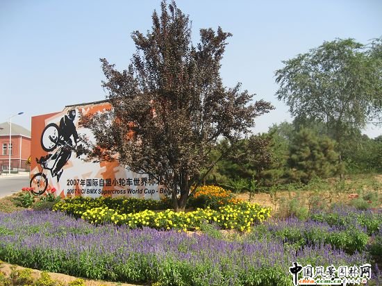 ������ɽɽ��܇ِ���G���h�����ι���