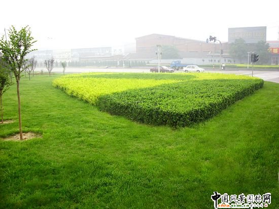 �Ͽ�ʮ��·�ږ|��(c��)܇վ�G��Ч��