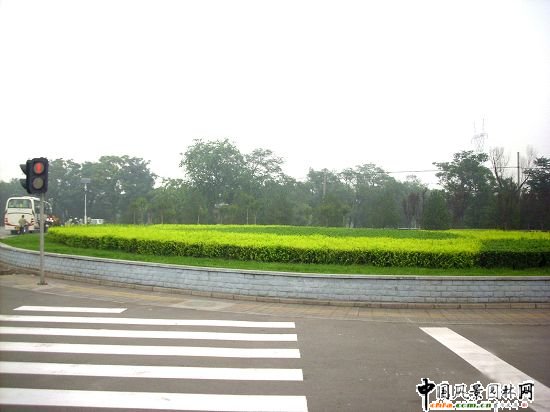 �Ͽ�ʮ��·�ږ|���ǾG��Ч��