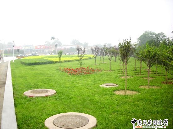 �Ͽ�ʮ��·�ږ|��·���G��Ч��