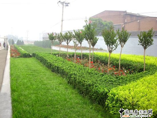 �Ͽ�ʮ��·�ږ|��܇վ�G��Ч��