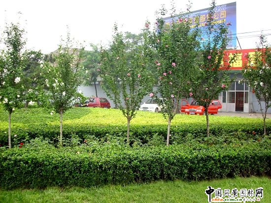 �Ͽ�ʮ��·�ږ|�ϽǾG��Ч��