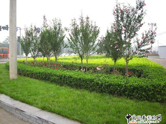 �Ͽ�ʮ��·�ږ|�ϽǾG��Ч��