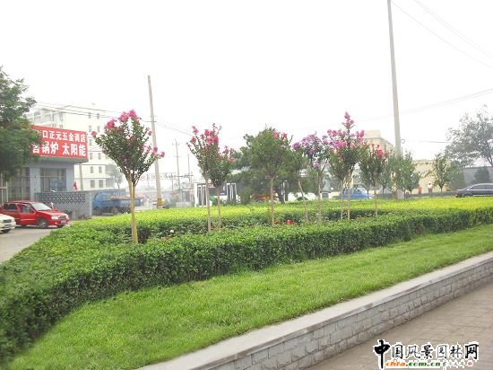 �Ͽ�ʮ��·�������ǾG��Ч��