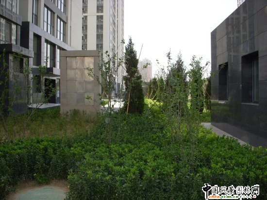 ��Է������ס�^D2�^���W�\ý�w����ڣ����̾G������