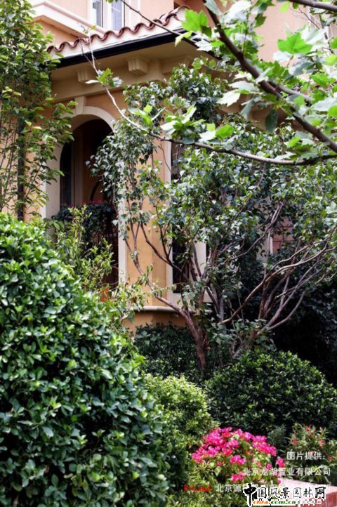 �����ٞ�ɽ