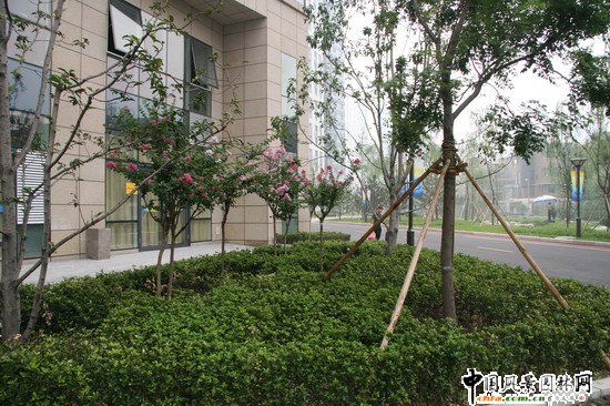 ý�w��ߌ�סլǰ�G��