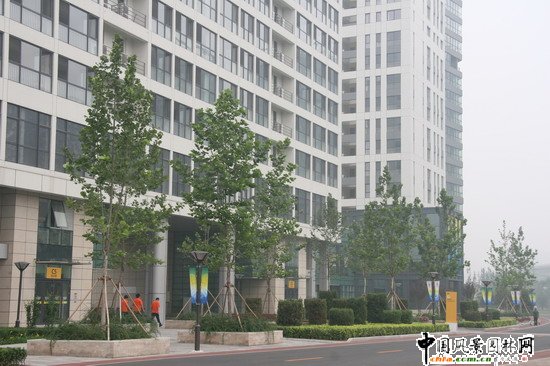 �޼������͙u��Ⱥ