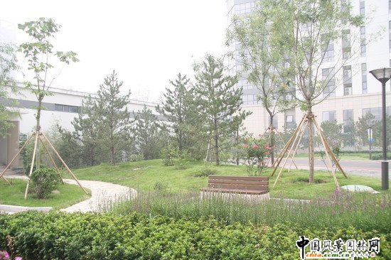 ������(ch��ng)���ć���