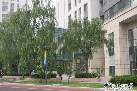 ��·��һ��