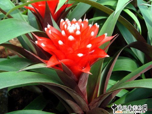 �^�p�P��(�D)