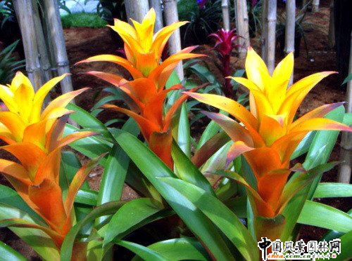 �^�p�P��(�D)