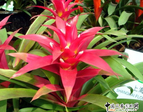 �^�p�P��(�D)