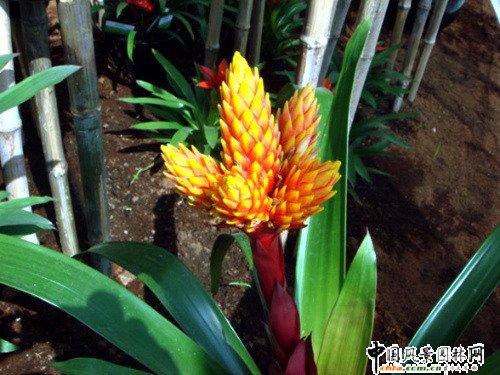 �^�p�P��(�D)