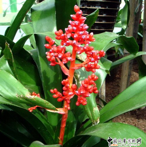 �^�p�P��(�D)