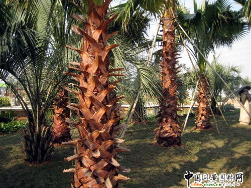 �V�|�ؙ���悈@ˇ�������Ї�(�Ϸ�)�G��������ժ���