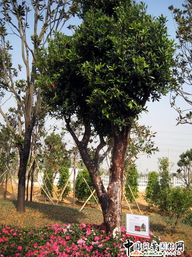 �V�|�ؙ���悈@ˇ�������Ї�(�Ϸ�)�G��������ժ���