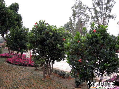 �V�|�ؙ���悈@ˇ�������Ї�(�Ϸ�)�G��������ժ���