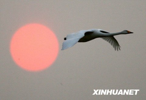 �S�ӝ�����Z��