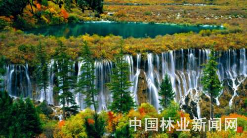 �҇���ر��o�I(y��)���ٰl(f��)չ(�D)������կ�χ��Ҽ���Ȼ���o�^(q��)