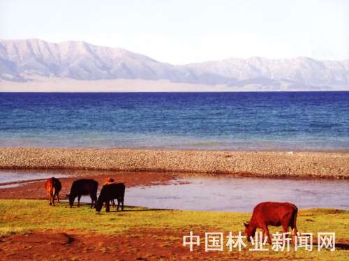 �҇���ر��o�I(y��)���ٰl(f��)չ(�D)�����½�ِ��ľ�����