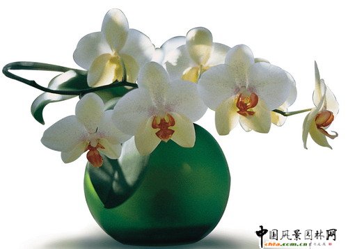 �����m(�D)