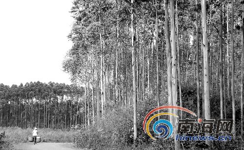 ���ϲ��ֵ؅^���F��亦�x ��������֮��(�D)