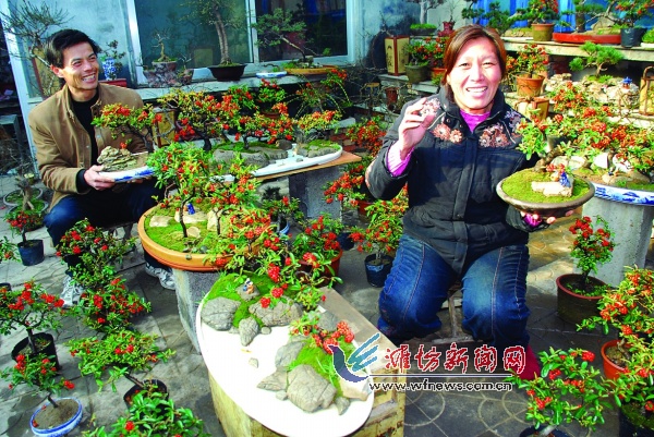 ɽ�|���ݣ������ػ�ľ�鹝(ji��)������(�D)