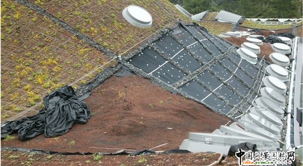 ���B(t��i)�͵ļ��ݿƌWԺ(�M�D)