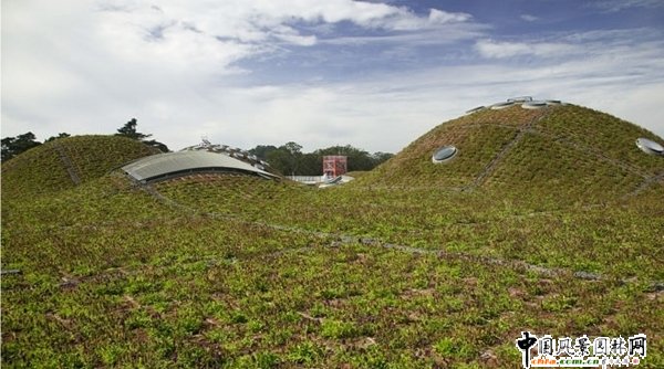 生態型的加州科學院(組圖)