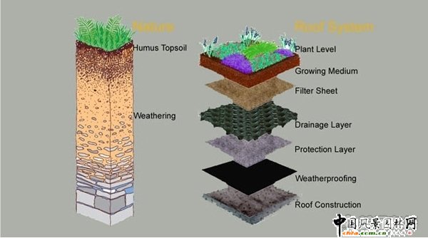 生態型的加州科學院(組圖)