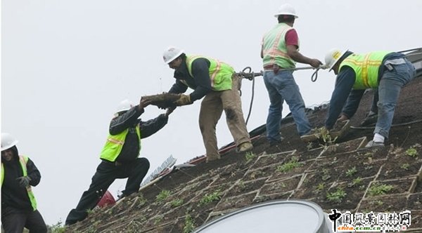 生態型的加州科學院(組圖)