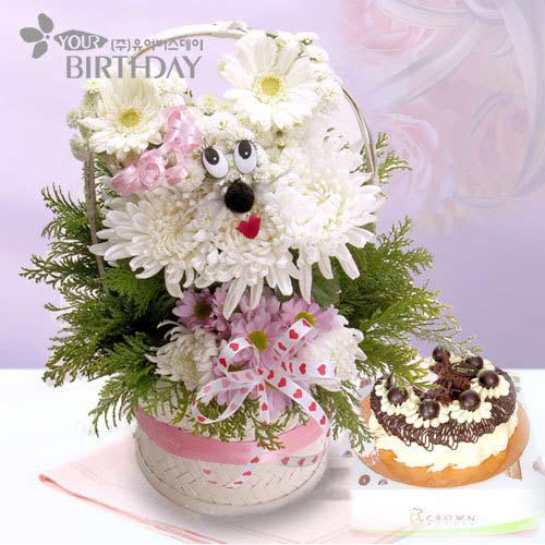 ʮ����Ф�������p(�M�D)