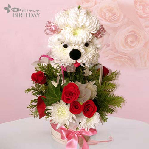 ʮ����Ф�������p(�M�D)