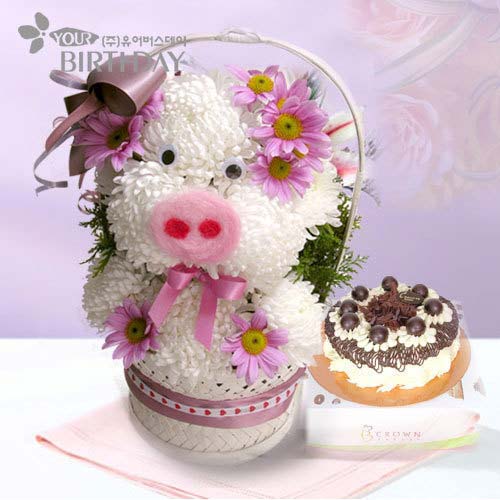 ʮ����Ф�������p(�M�D)