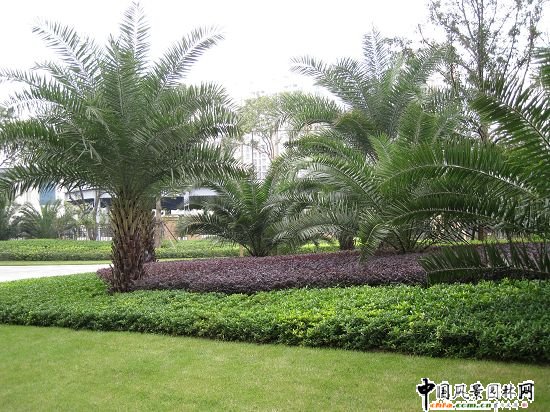 �V���ؙ�֮���ݽ�ɫ�҈@����ɫ����