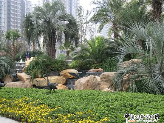 �V���ؙ�֮���ݽ�ɫ�҈@����ɫ����