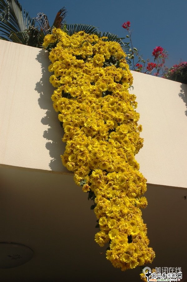 ���¾�����(�M�D)