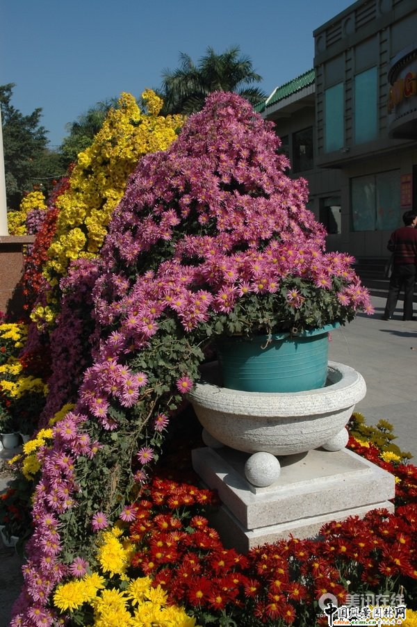 ���¾�����(�M�D)