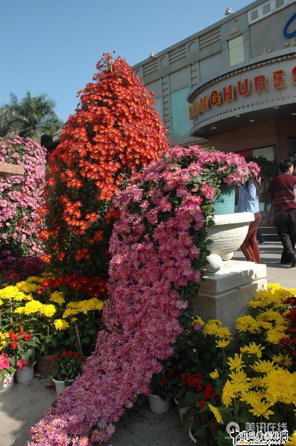 ���¾�����(�M�D)