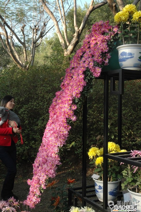 ���¾�����(�M�D)