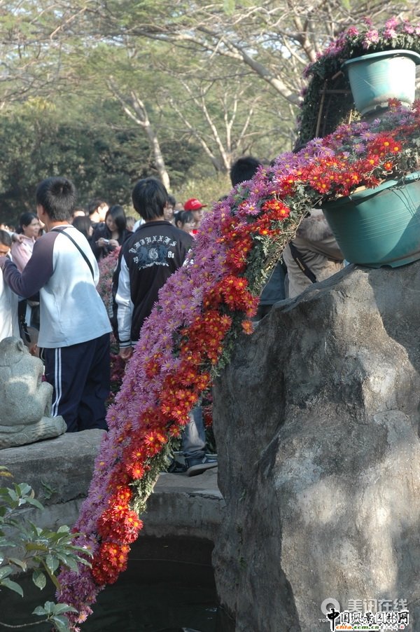 ���¾�����(�M�D)