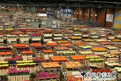 ���m��˹�נ��r�����u�Ј�